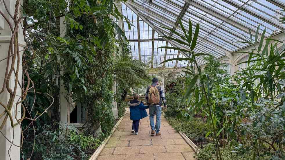 Father and child walking in greenhouse at Kew Gardens
